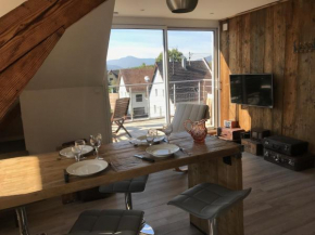 Appartement chaleureux et lumineux avec vue ! au centre Alsace